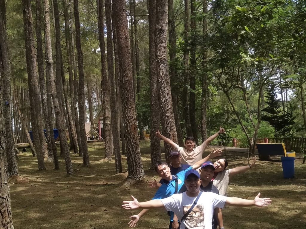 hutan pinus sipinsur 