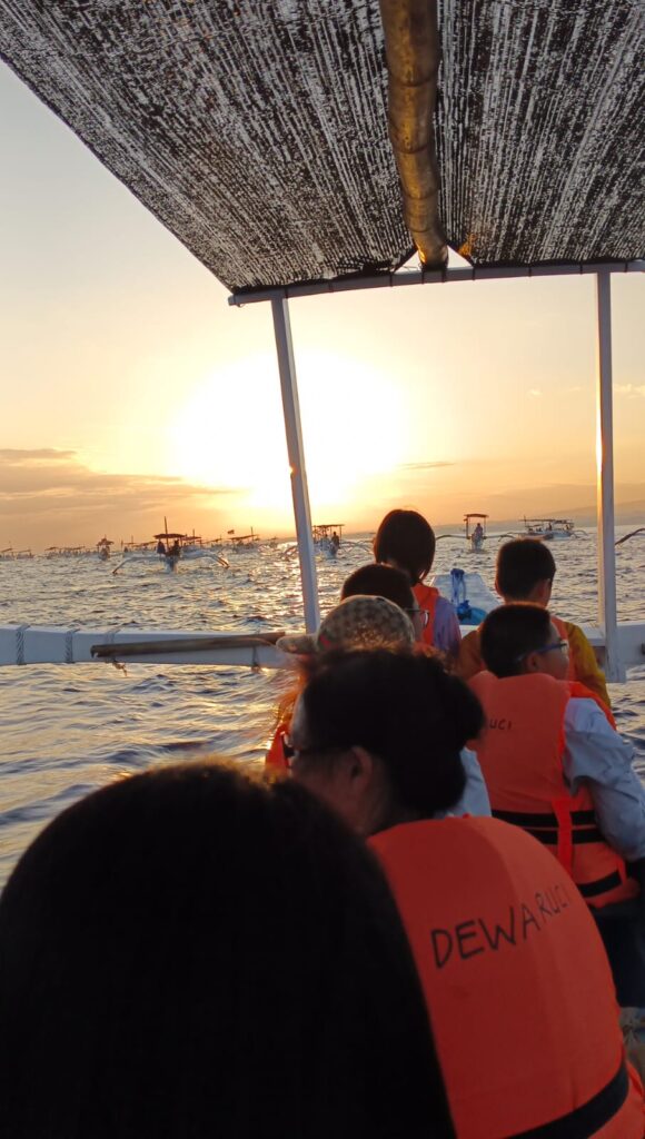 dolphin tour bali